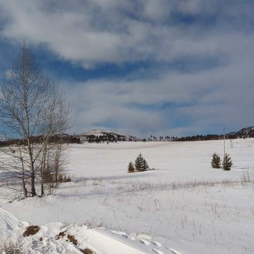 Photo #10029952