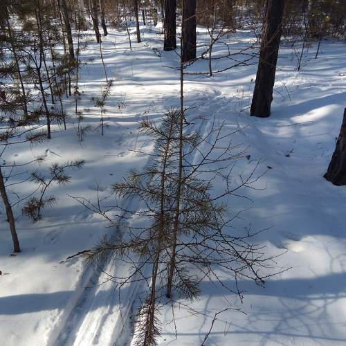 Photo #10029954