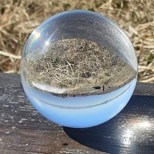 Photo #10030013