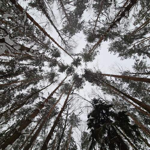 Photo #10030437