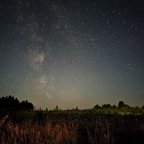 Photo #10030447