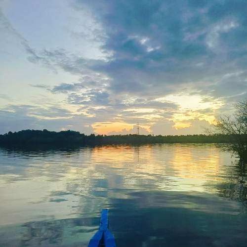 Photo #10030452