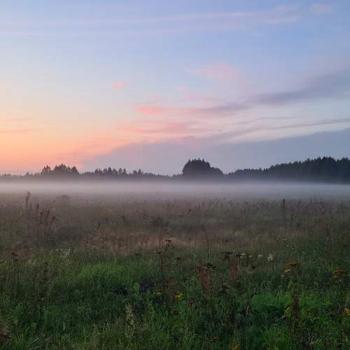 Photo #10030454