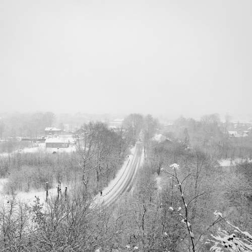 Photo #10030461