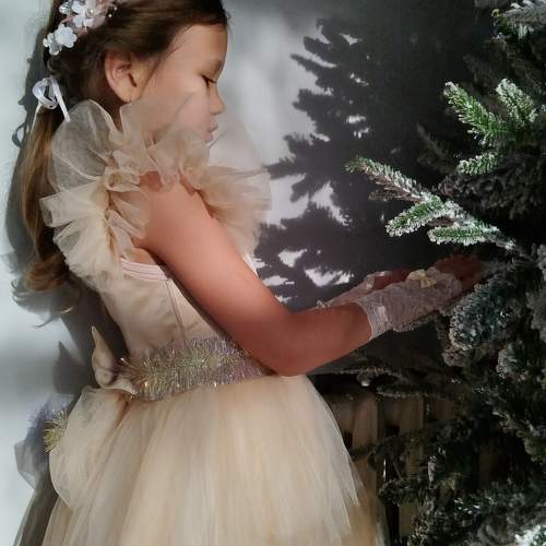 Photo #10030486