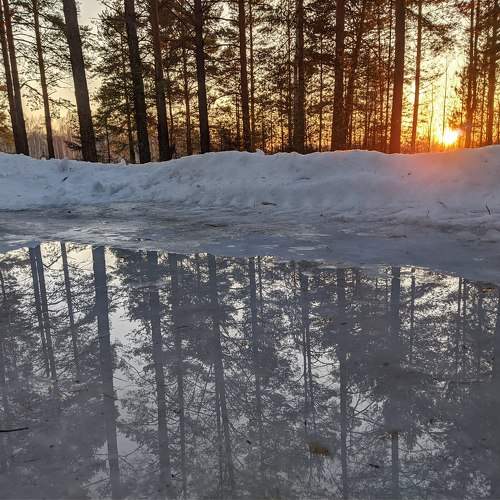 Photo #10030487
