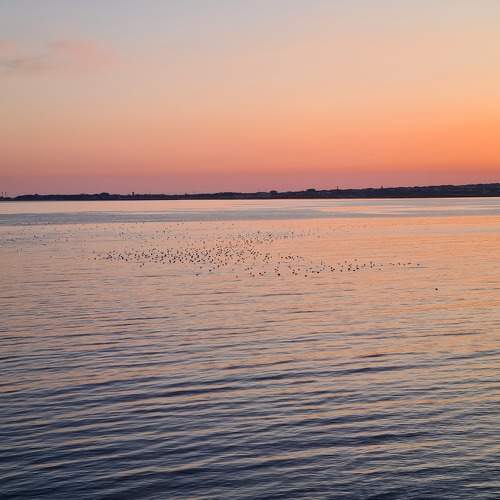 Photo #10030489