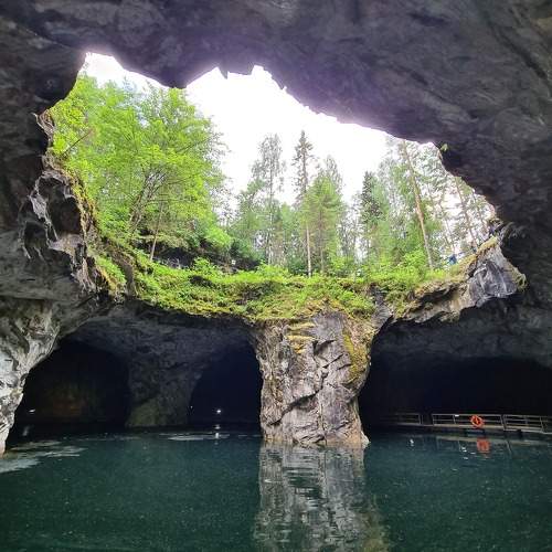 Photo #10030491