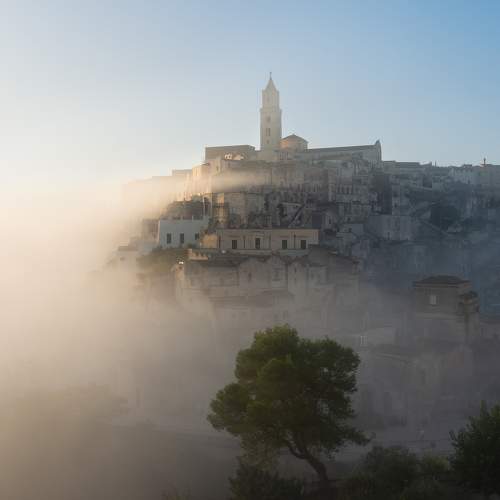 Photo #10030493
