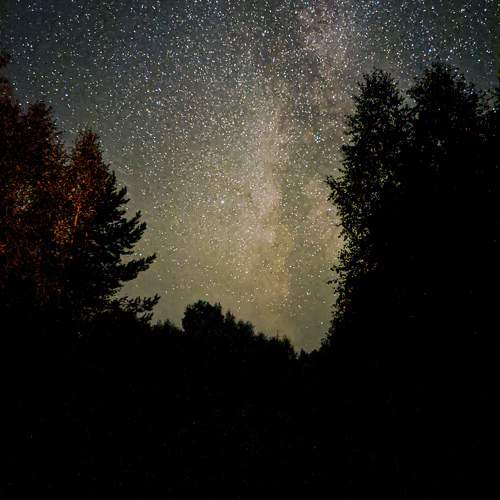 Photo #10030509