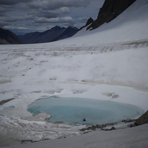 Photo #10030532