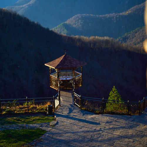 Photo #10030590