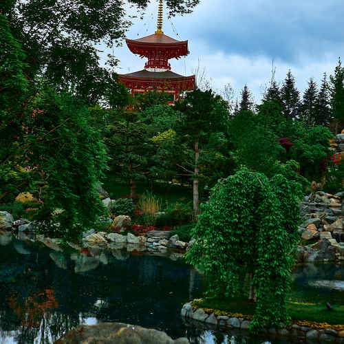 Photo #10030645