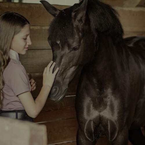 Photo #10030658