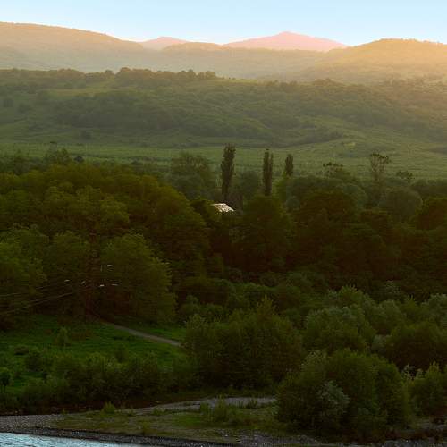 Photo #10030881