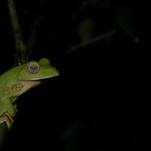 Photo #10031482
