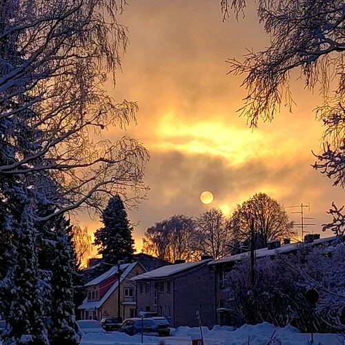 Photo #10031628