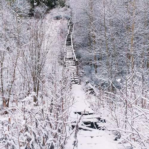 Photo #10031759