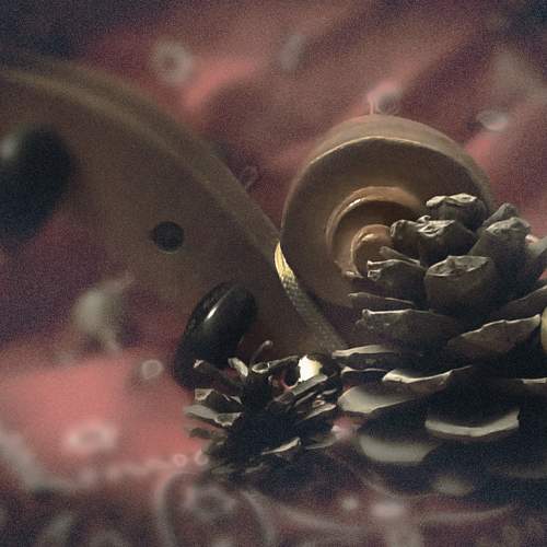 Photo #10031793
