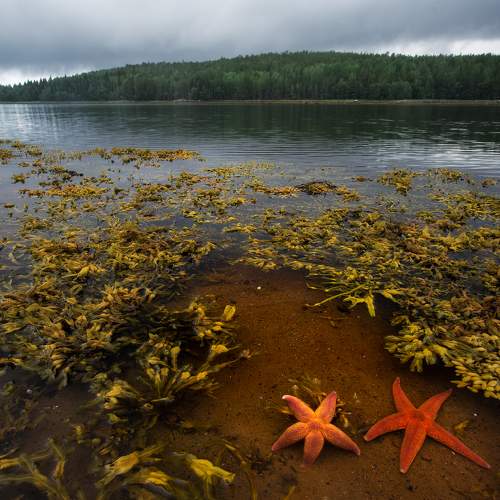 Photo #10032039