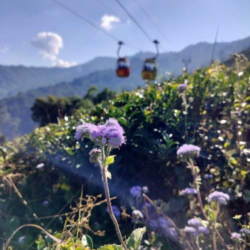 Photo #10032053