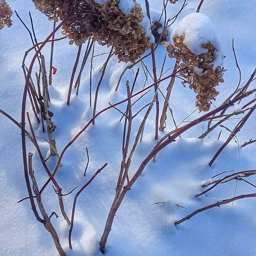 Фотография #10032516