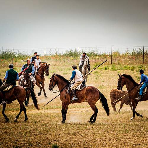 Photo #10032597