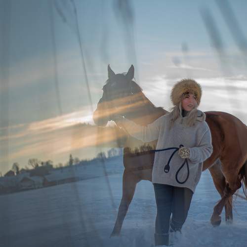Photo #10032638