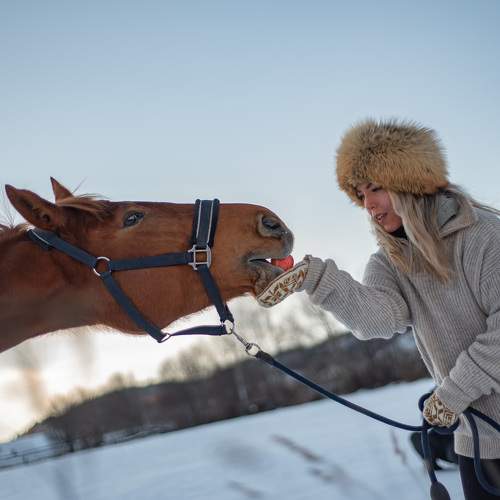 Photo #10032642