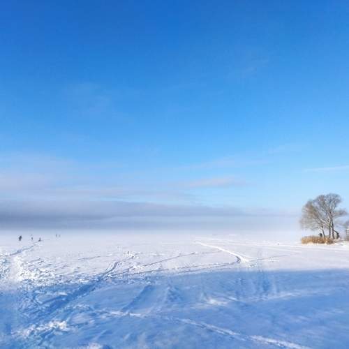 Photo #10032836