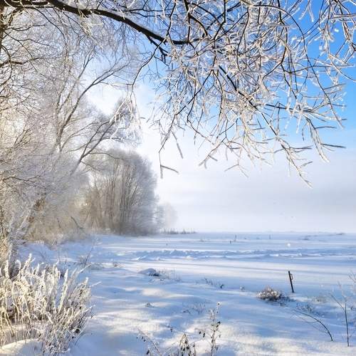 Photo #10032842