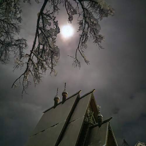 Photo #10033352