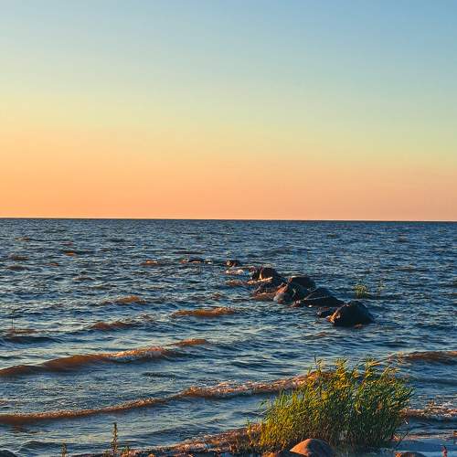 Photo #10034444
