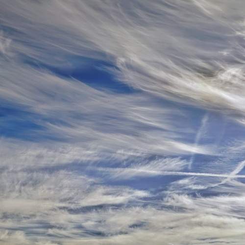 Photo #10034458