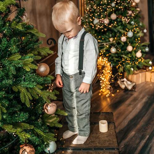Photo #10034744