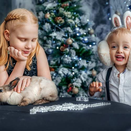 Photo #10034745