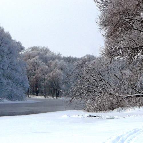Photo #10034934