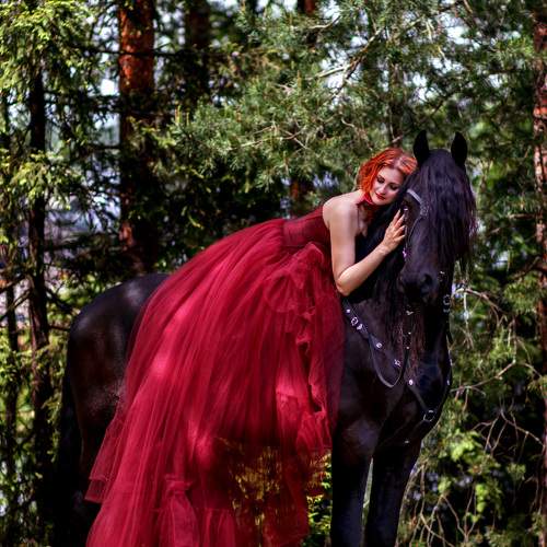 Photo #10035041