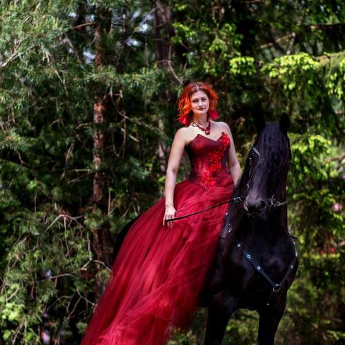 Photo #10035042