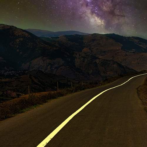 Photo #10035078