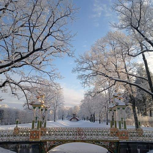 Photo #10035143