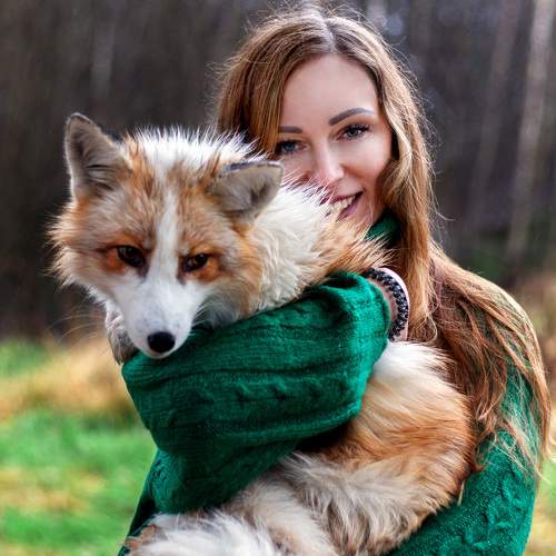 Photo #10035414
