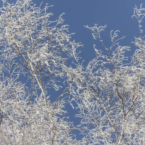 Photo #10035882