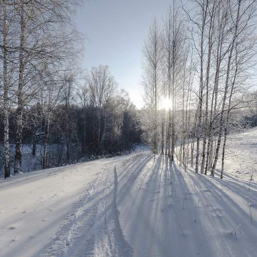 Photo #10035890