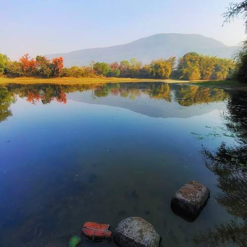 Photo #10036019
