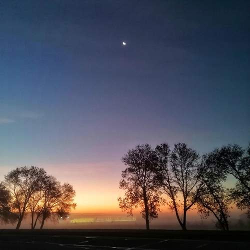 Photo #10036429