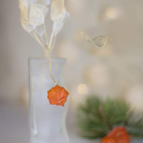 Photo #10036446