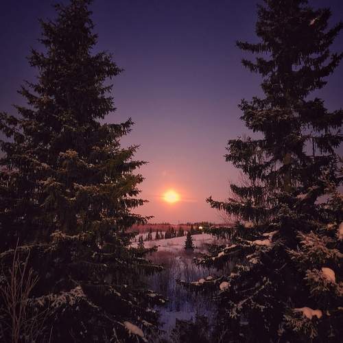 Photo #10036490