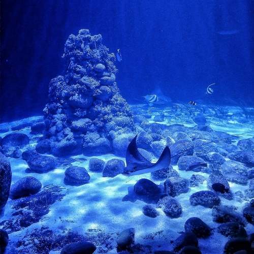 Photo #10036636
