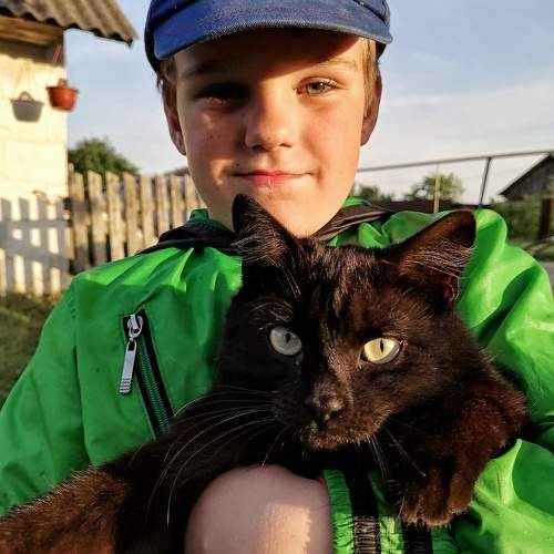 Photo #10036693
